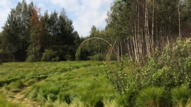 Вырубка леса рядом с деревней Мжакино рязанской области. Бытовка рабочих (снаружи). смотреть онлайн