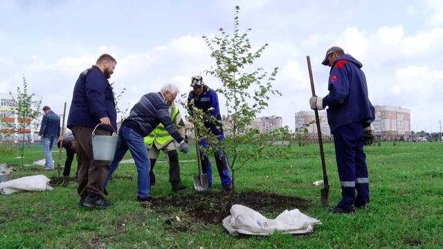 На Муринских прудах к школе №100 теперь ведет «Аллея энергетиков»