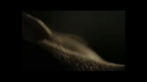 Честер Небро    Созвездие Vandal'z Records