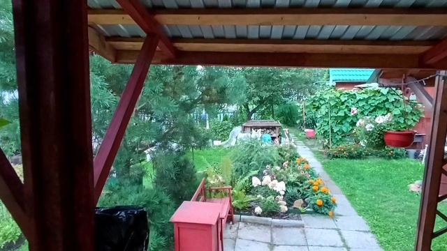 Краски осени...
