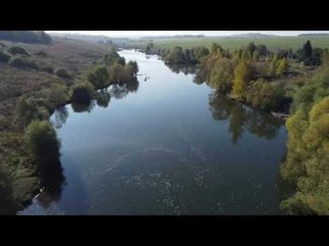 DJI MINI 2 Оболеский пруд с высоты полёта птиц .