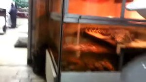 Живой крокодил в магазине сантехники