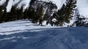 Хели Бородино Фрирайд Сильвертон Колорадо США Backcountry Heli Boarding Silverton Mountain Colorado