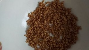 Как правильно проращивать пшеницу в домашних условиях быстро и просто!