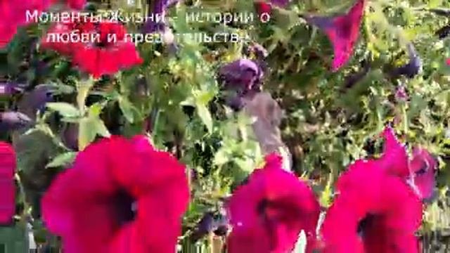 ?Свекровь с тещей наперегонки просили подарки у детей и потом друг перед другом хвастали, но спустя