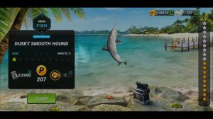 НОВЫЙ ПОДАРОЧНЫЙ КОД . New Gift Code . Fishing Clash . 22.02.2021