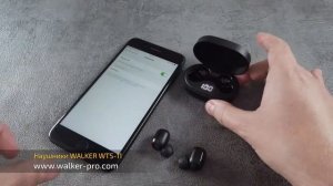 Обзор наушников WALKER WTS 11