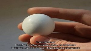 Яйцо голубиное