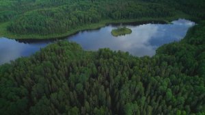 Остров. Озеро Кюукозеро. Вытегорский район. Вологодская область