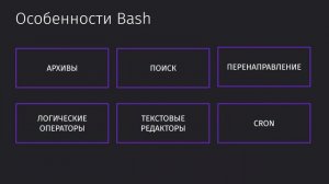 33 Особенности BASH