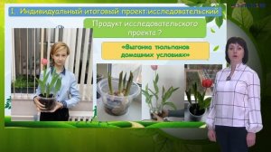 Как разработать проект_ организация деятельности обучающихся