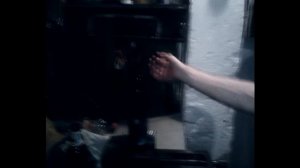 КАК ПОЙМАТЬ МУХУ