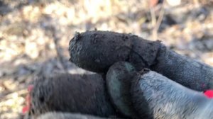 Пробираемся на УАЗике на место шурфа. Неожиданные находки.