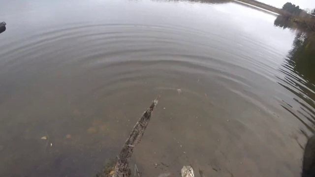 Охота на утку поздней осенью 2022 смотреть онлайн