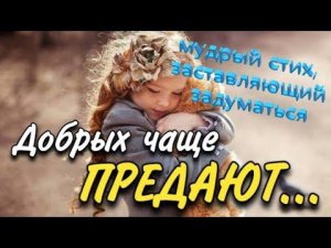 А.Носырев Хороших,добрых чаже предают #мудрость #стихи #ecowisdom #стих