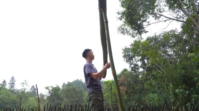 The process of making a barn to raise pigs for economic development, Fertilize fruit trees смотреть онлайн