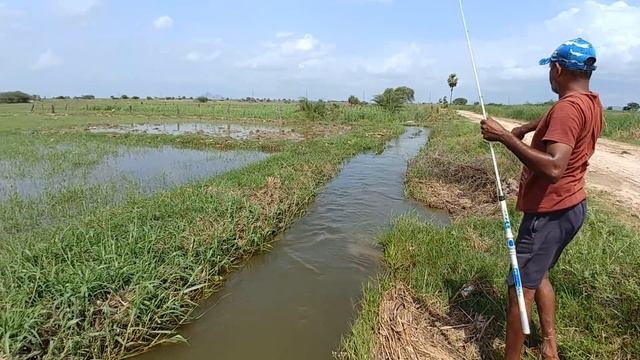 Fishing | Amazing Fishing | Catching Catfish & Baam Fish