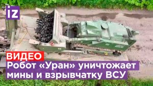 Комбайн для минного поля: как робот-дрон «Уран» помогает нашим саперам в зоне СВО / Известия