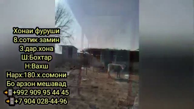 Мошинхои Фуруши!(01.02.2023)Арзон-Daewoo Nexia Танген Хонаи фуруши ЭС 75 мотоблок Зубер
