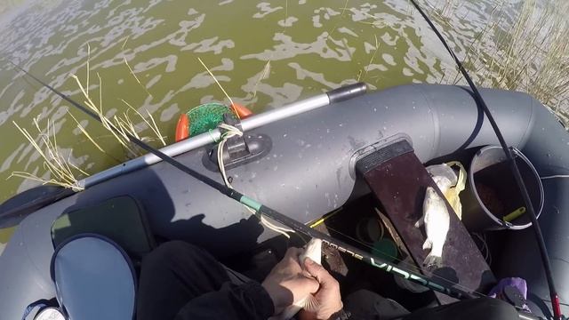 Карась на поплавок. Рыбалка на поплавок весной. Озеро Уелги, 04.05.2023 смотреть онлайн
