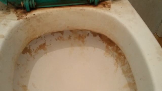 Как очистить унитаз очень грязный, который не мыли больше года