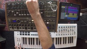 Arturia MiniBrute 2S + Keylab MK2 controlling Cubasis (iPad)