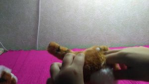 Супер Заначка! Тайник За 5 Минут В Игрушке / DIY