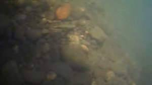 Подводная сьёмка на реке Томь