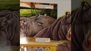 Книга саванны,великаны,азбукварик