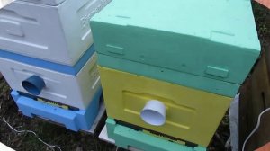 холодная весна на пасеке 2022 года - какие работы можно сделать с пчелами если весна холодная