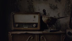 Гадание на Блюдце. Спиритический сеанс. Дух из астрала. Рассказ о загробной жизни