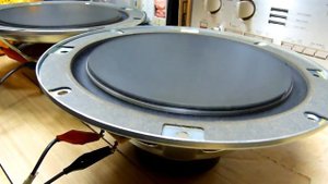 test Technics Honeycomb Disc Speaker unit SASS22PL02-T 22cm Woofer, SB-F75