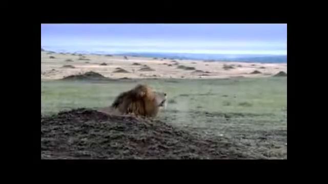 БОЖЕСТВЕННАЯ МУЗЫКА ДУДУКА для души