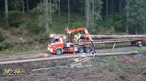 Dangerous Idiots Monster Logging Wood Truck Driving Skills, Fastest Climbing Truck Heavy Equipment