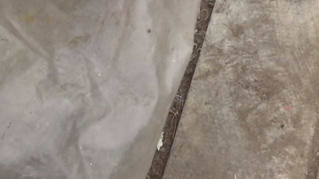 Прикоп в теплице, что в нём можно хранить? Видео 2017 г.