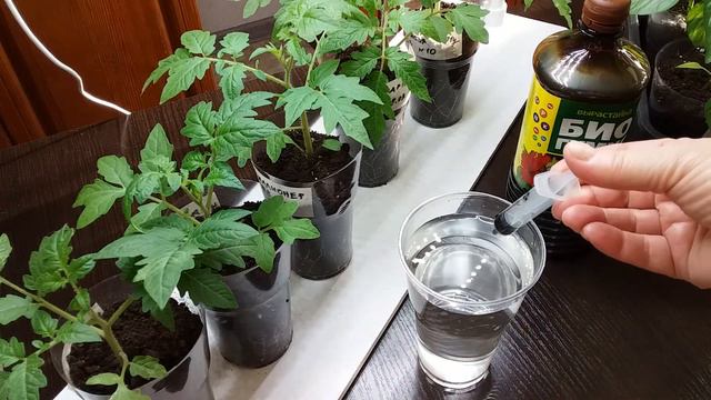 ВНЕКОРНЕВАЯ подкормка НАТУРАЛЬНЫМИ удобрениями с микроэлементами