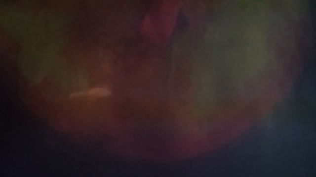 09.where the wild things are смотреть онлайн