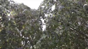 Нужно огородникам