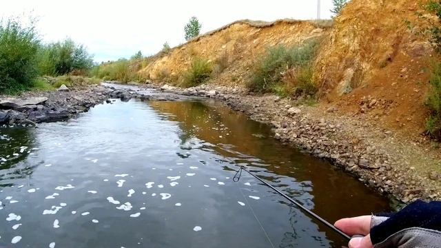 Мормышинг. Активная ловля ельца спиннингом на микроприманки.