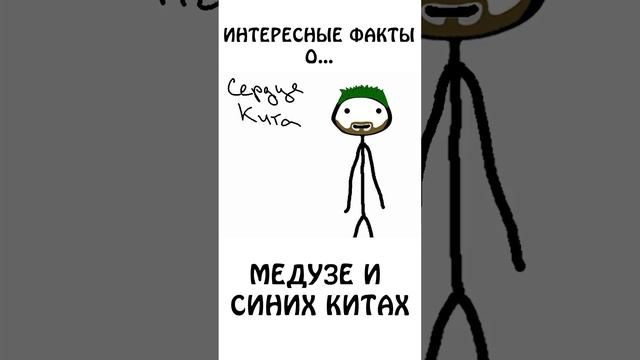 "Интересный факт о медузе и синих китах"