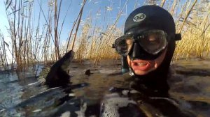 Космический прозрак!Подводная охота Волгоград 2016 ноябрь