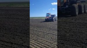 27 мая вносим удобрения аммиачная селитра