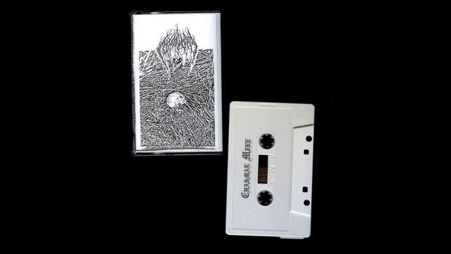 Chasmal Mire (US) - Chasmal Mire (Demo) 2021 смотреть онлайн