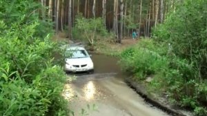 Покотушки