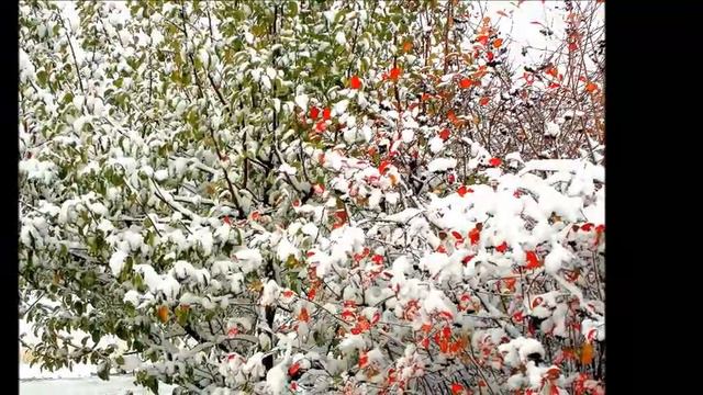 ВЕЙДЕЛЕВКА 25 10 2017 г смотреть онлайн