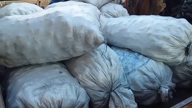 КОПАЕМ КАРТОШКУ НА ПОЛЕ // ЖИЗНЬ В БЕЛОРУССКОЙ ДЕРЕВНЕ
