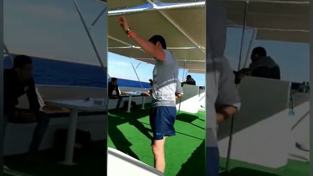 Дайвинг в Шарм Эль шейх январь 2019 смотреть онлайн