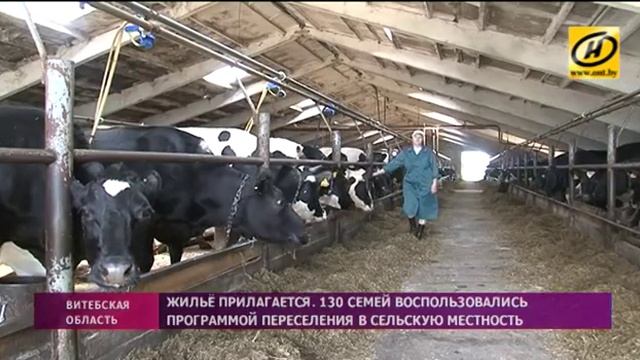 130 белорусских семей переехали в сельскую местность в 2016 году смотреть онлайн