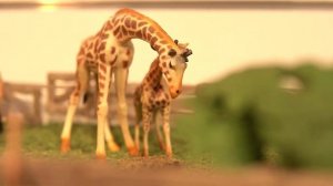 Коллекционные фигурки животных Animal