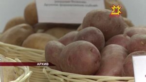 Китайский картофель опасен — предупреждает Россельхознадзор